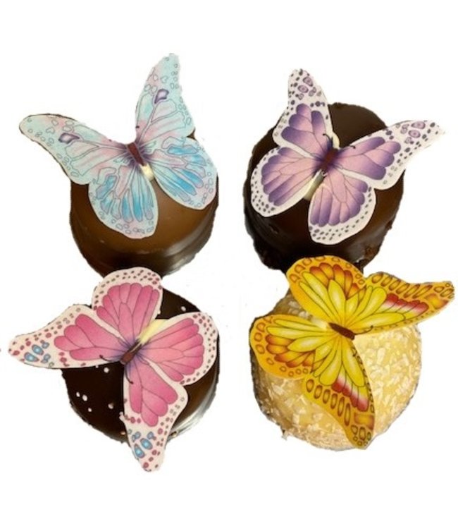 Schmetterling Schokokuss