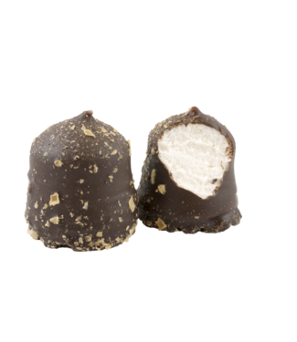 Lebkuchen Schokoküsse