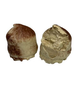 Schokoküsse Tiramisu