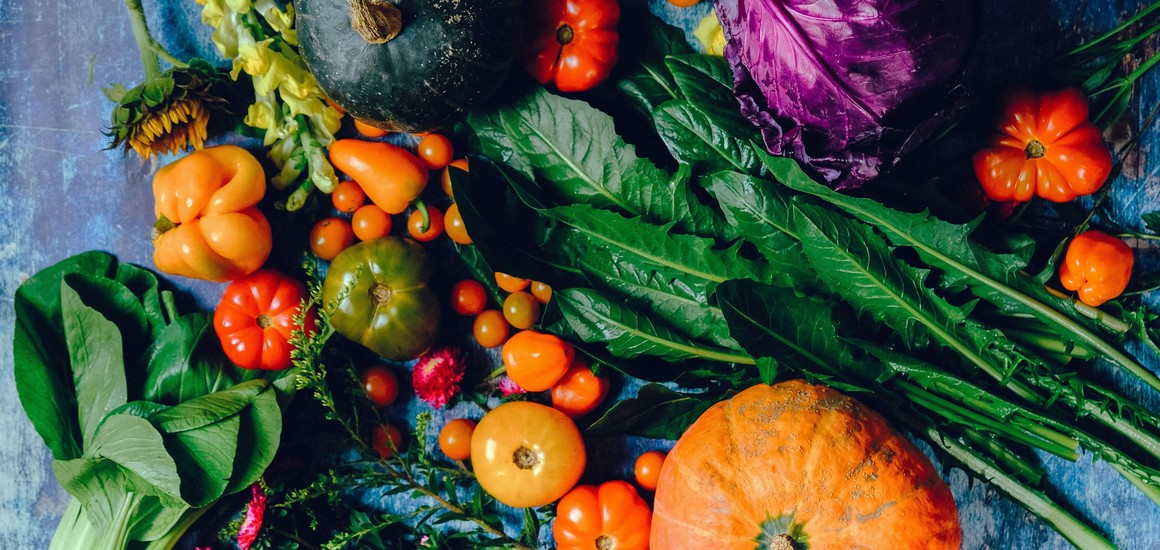 6 Good Reasons to Add More Plant-Based Foods Into Your Diet