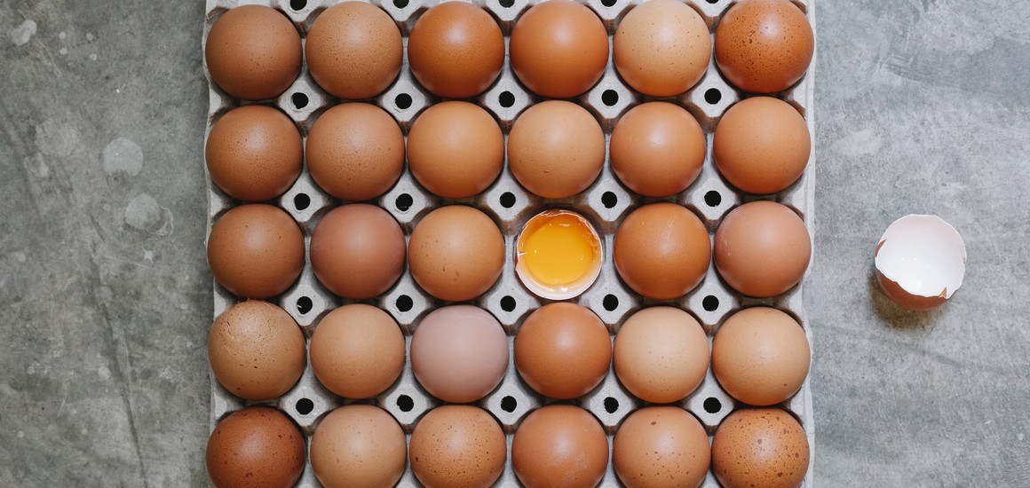10 myths about protein, debunked!