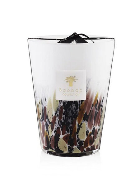 BAOBAB COLLECTION Baobab collection scented candle all seasons Rainforest Tanjung MAX 24