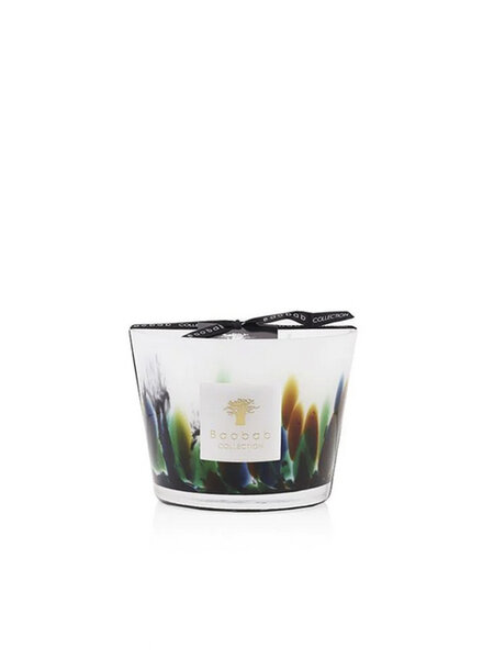 BAOBAB COLLECTION Baobab collection scented candle all seasons Rainforest Amazonia MAX 10