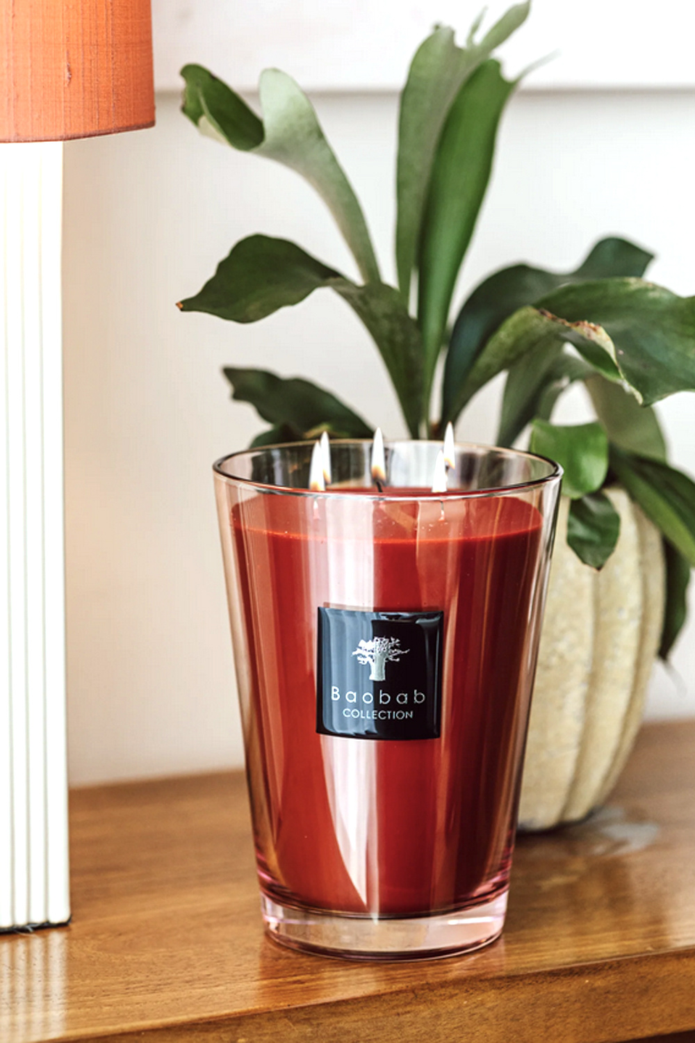 BAOBAB COLLECTION Baobab collection all seasons Maasai Spirit MAX 10