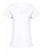 PINKO Pinko tshirt met logo in op borst geborduurd Wit