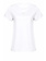 PINKO Pinko tshirt with logo in on chest embroidery White