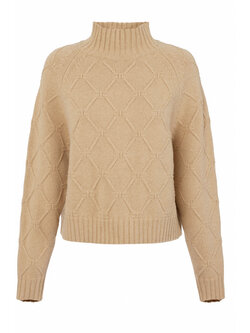 ELISABETTA FRANCHI Elisabetta Franchi knitted jumper with turtleneck in jacquard fabric Honey / BEIGE