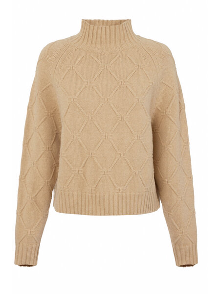 ELISABETTA FRANCHI Elisabetta Franchi knitted jumper with turtleneck in jacquard fabric Honey / BEIGE