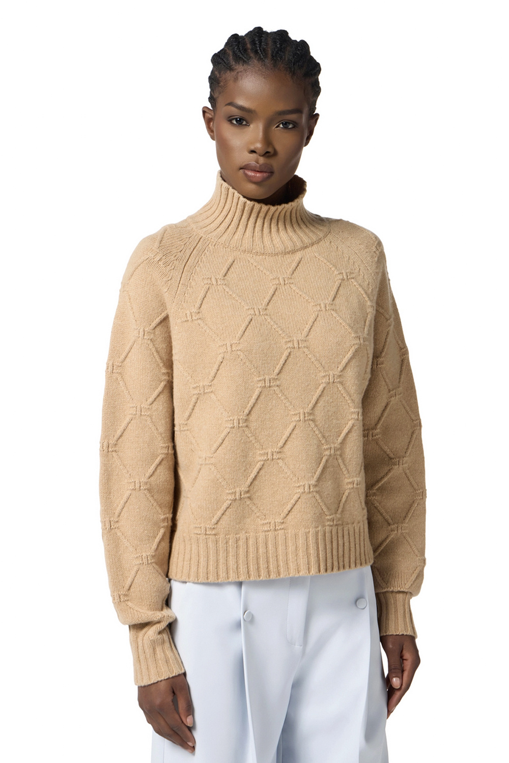 ELISABETTA FRANCHI Elisabetta Franchi knitted jumper with turtleneck in jacquard fabric Honey / BEIGE
