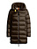 PARAJUMPERS Parajumpers Marion down jacket with hood Earth Brown / BROWN
