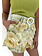 Dreamcatcher Dreamcatcher Sienna short in print GROEN