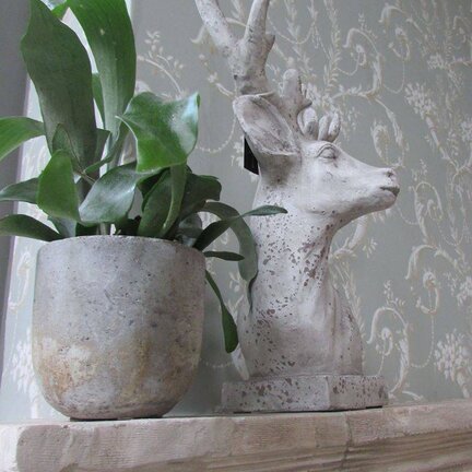 Decoratieve woonaccessoires