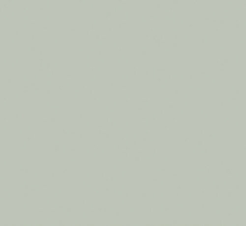 Little Greene Verf Pearl Colour - Dark 169 Intelligent Matt Emulsion