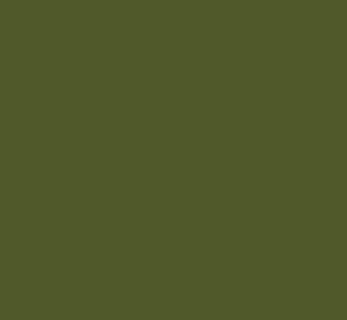 Little Greene Verf Jewel Beetle 303 Absolute Matt Emulsion
