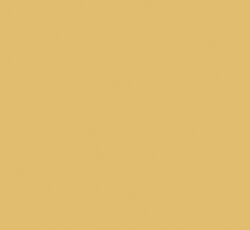 Light Gold 53 Absolute Matt Emulsion