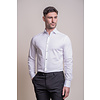 Cavani Monaco Shirt White