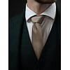Klassische Krawatte | Taupe | Elegante Krawatte für Männer