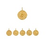 Gold Plated Chinese Sterrenbeeld Heren Hangers