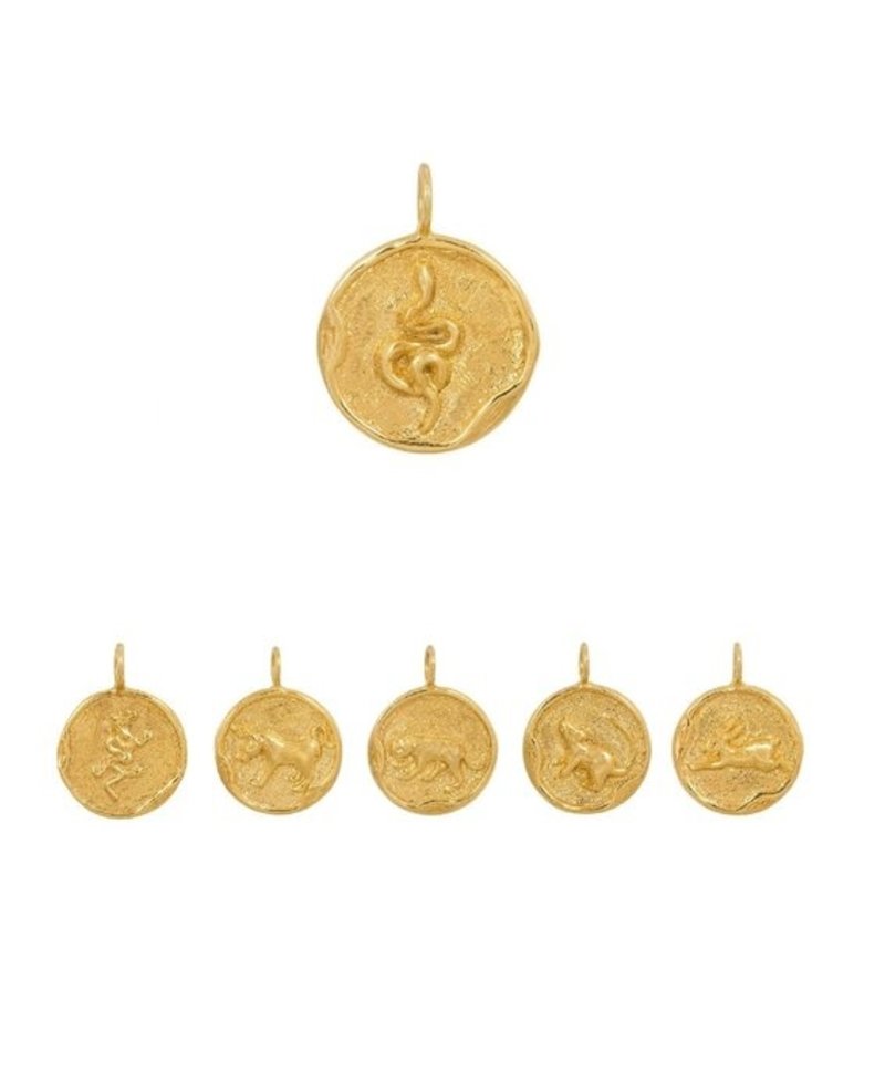 Gold Plated Chinese Sterrenbeeld Hangers