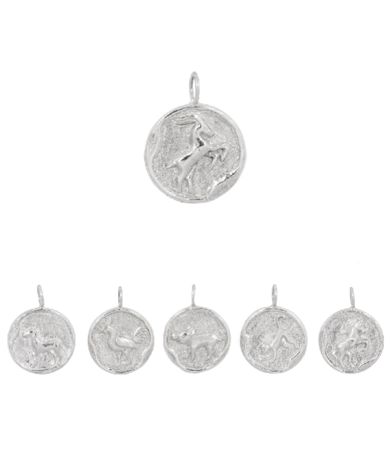 Pendentifs Argent pour Hommes Zodiaque Chinois