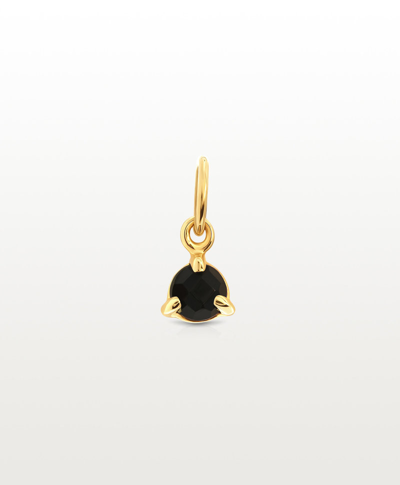 Gold Plated Hangertje Met Onyx Mana