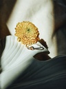 Delicate Yellow Citrine Ring Keala, Silver
