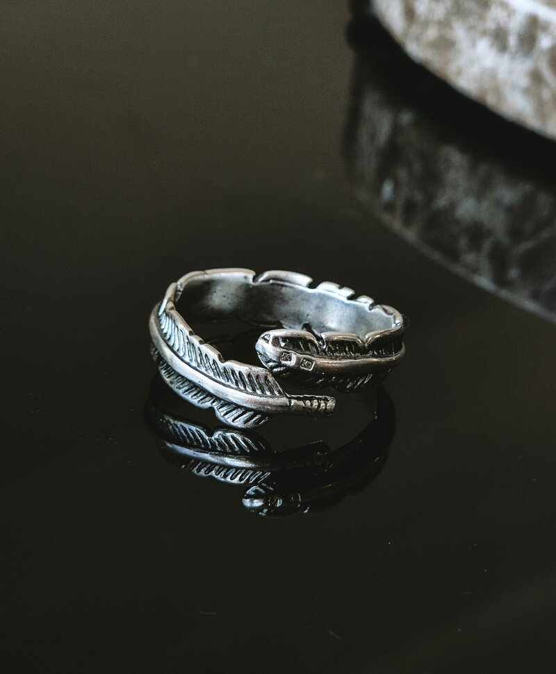 Argent Bague Homme Plume Alar