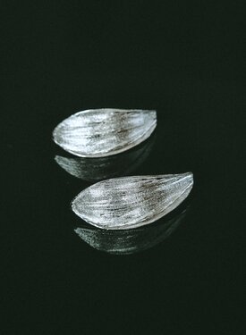 Boucles d’Oreilles Coquillage Alizé, Argent