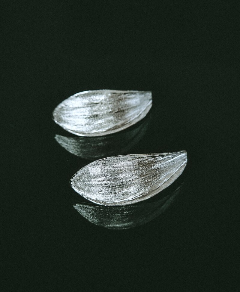 Boucles d’Oreilles Coquillage Alizé, Argent