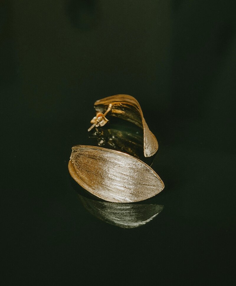 Shell-Shaped Earrings Alizé, Gold Plated