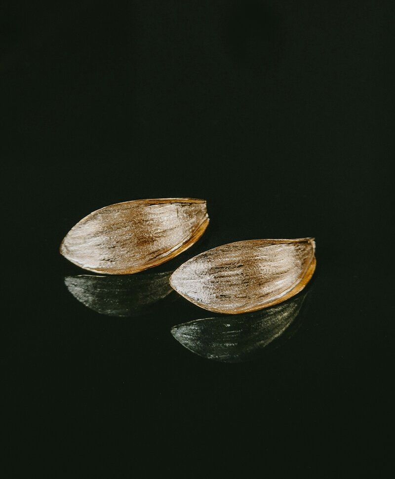 Boucles D’Oreilles Coquillage Alizé, Plaqué Or