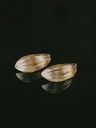 Shell-Shaped Earrings Alizé, Gold Plated
