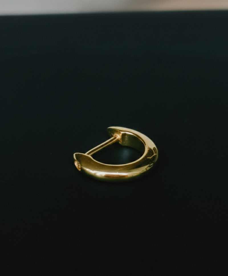 Single Horseshoe Hoop Hisa, Gold Plated (Large)