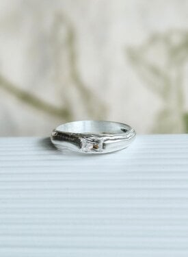 Zilveren Ring Met Heldere Steen Neige