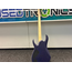 Ibanez RG421PB-CHF elektrische gitaar - Zo goed als nieuw