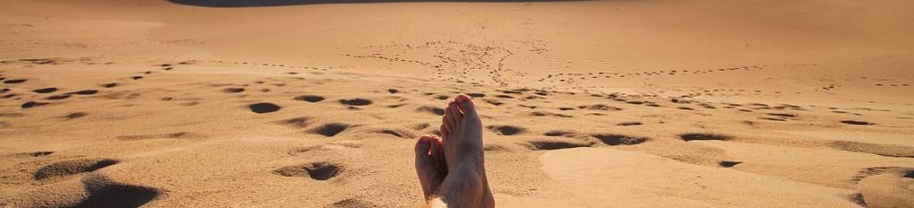 "Een comfort zone is een fijne plek, maar er groeit nooit iets"