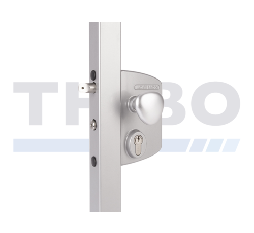 Locinox Surface mounted electric gate lock with Fail Open functionality