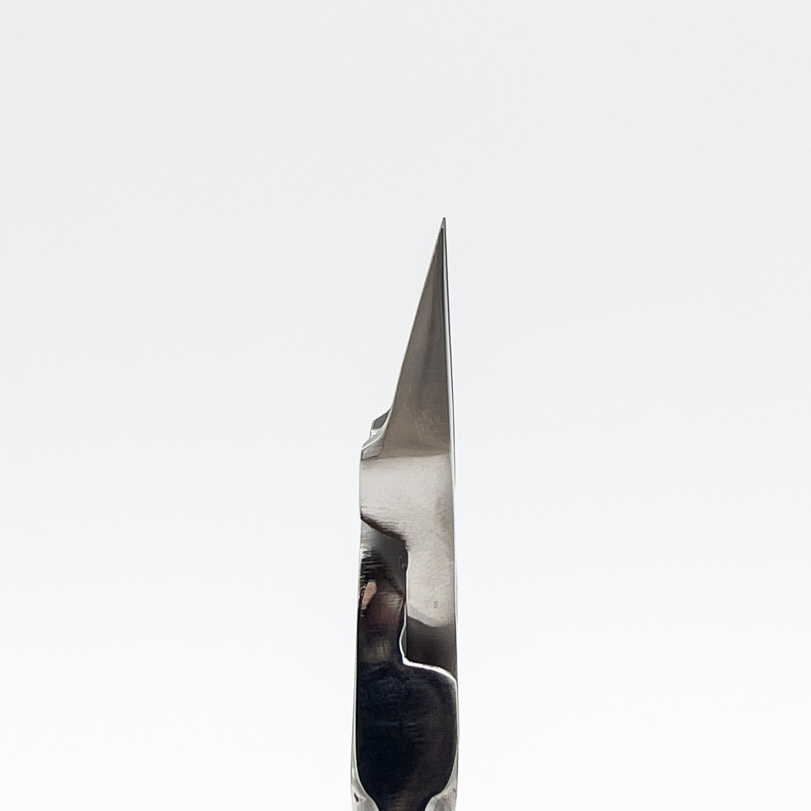 STALENA Pince à ongles incarnés grande, plate et pointue  avec poignée ergonomique K-05