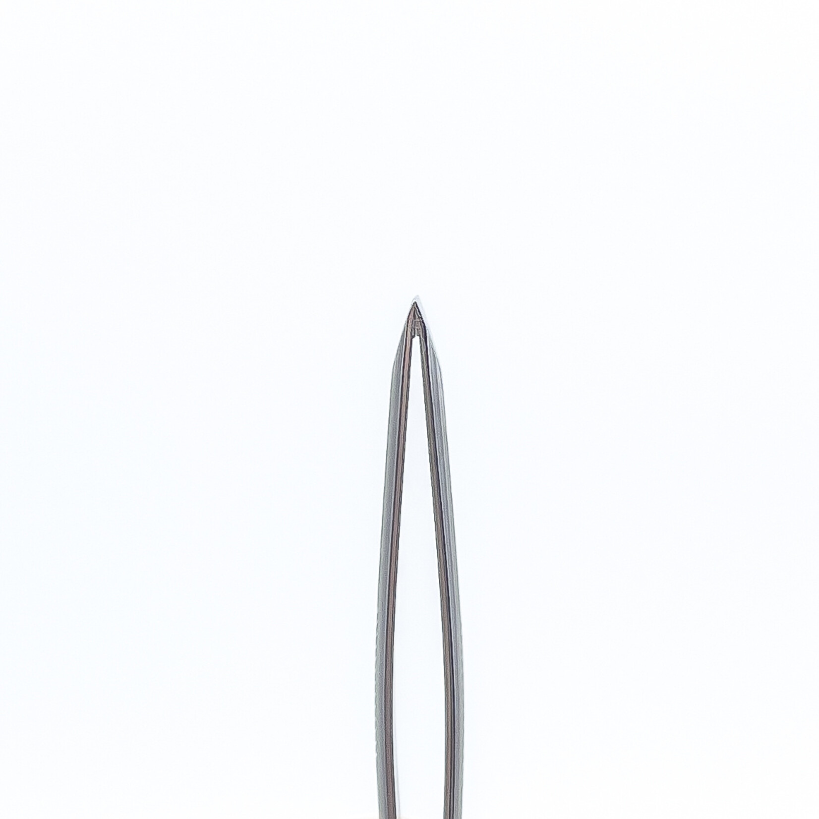 STALENA P-01 Pincet - rechte bek