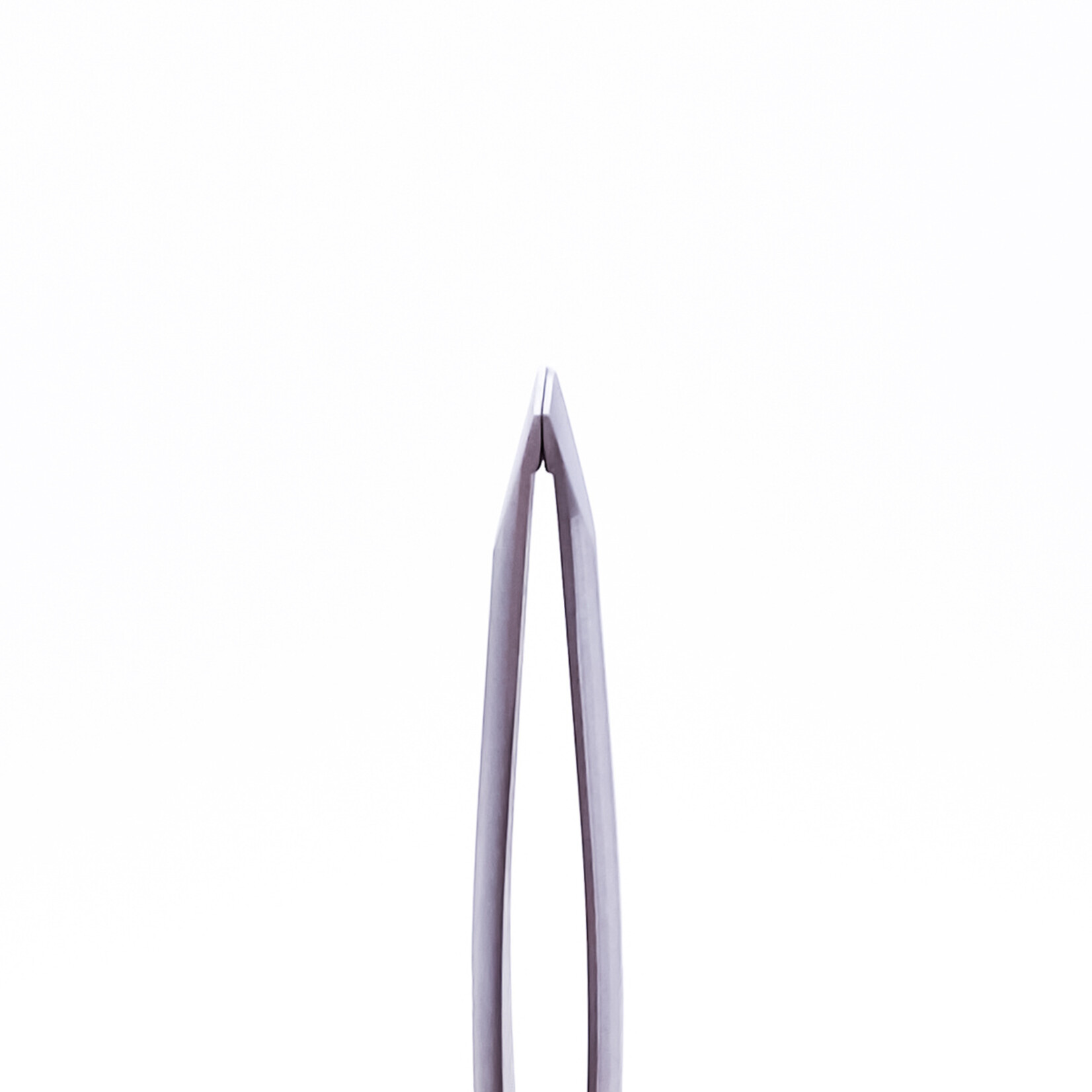 STALENA P-02 Pince à épiler oblique