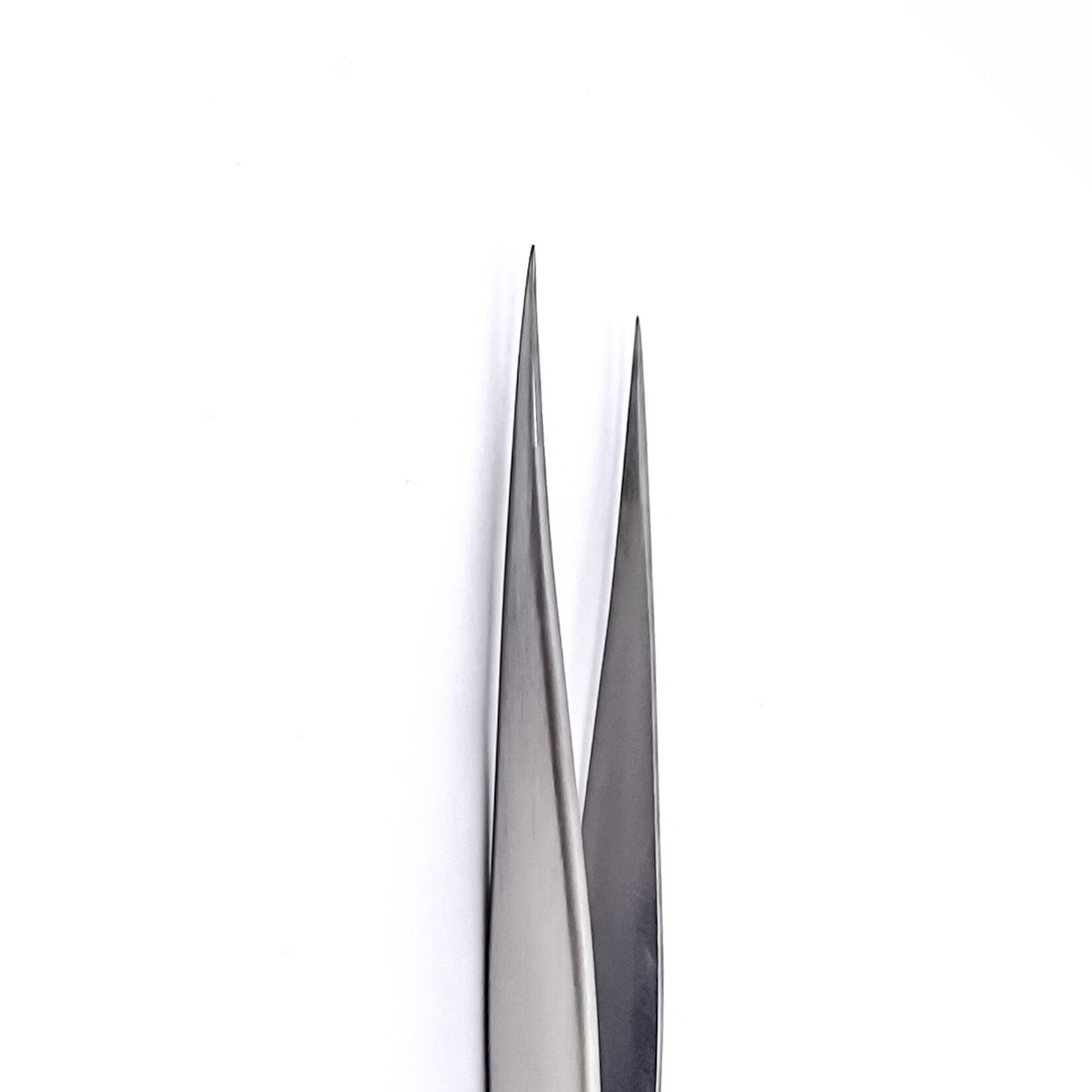 STALENA W-41/10 Pince pour les extensions de cils, droite