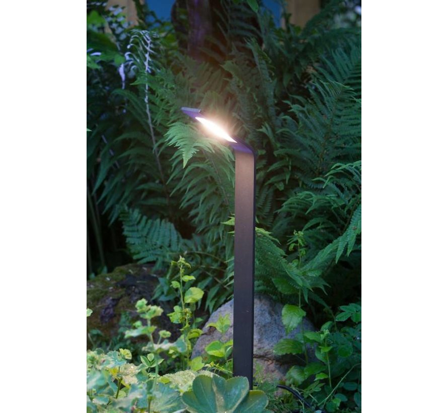 Heissner Smart Light tuinlamp 4W warm wit metaal