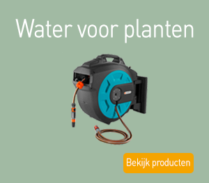 Water voor planten