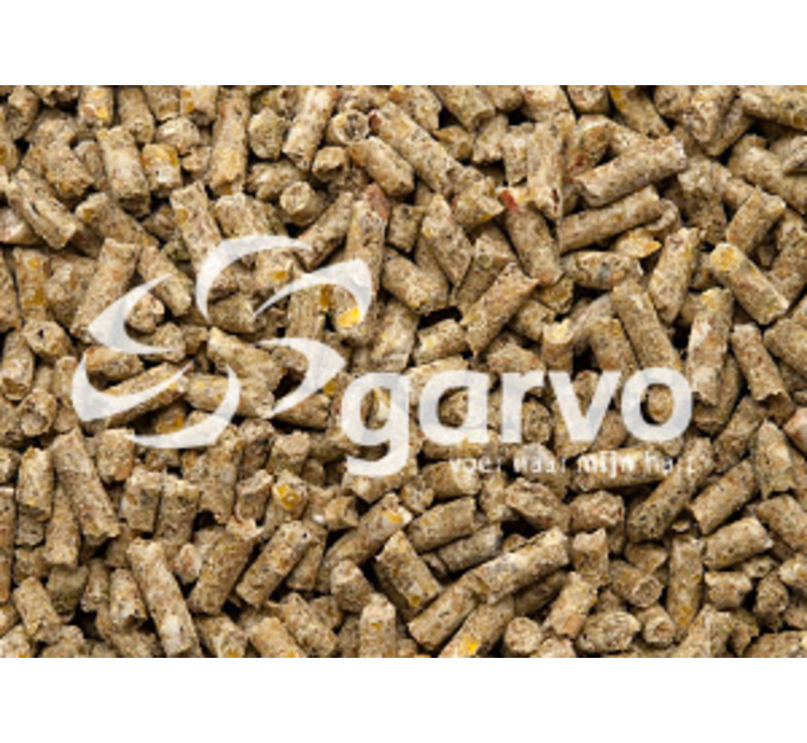 Garvo Ras Krielen Foktoomkorrel (2 Mm) 20 KG