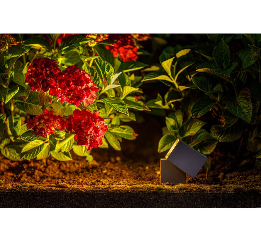 Garden Lights Nano