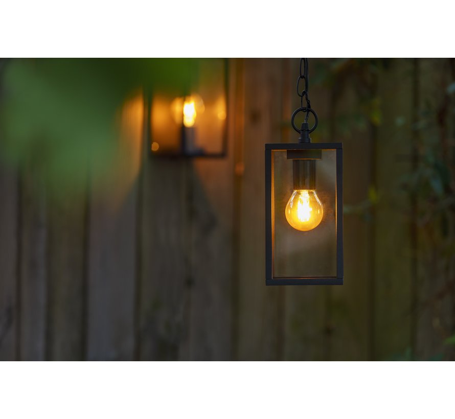 Garden Lights Sitta