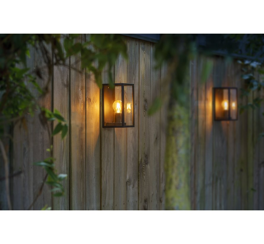 Garden Lights Sitta