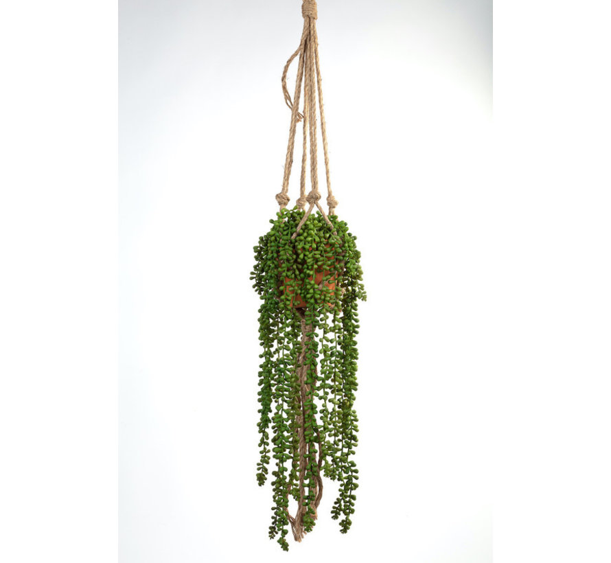 Kunstplant Senecio met touw 105cm