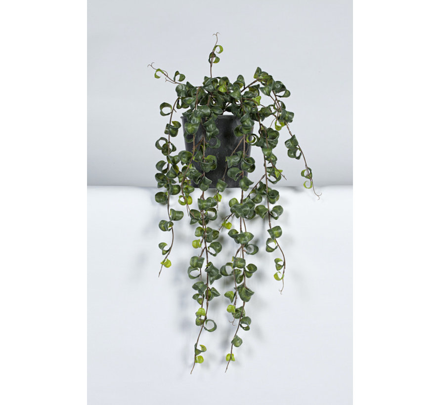 Kunstplant Hoya curl hangend 85cm