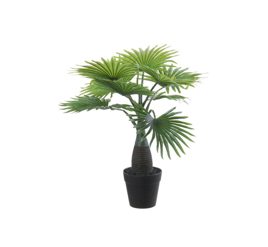 Kunstplant Chamaerops palm 45cm